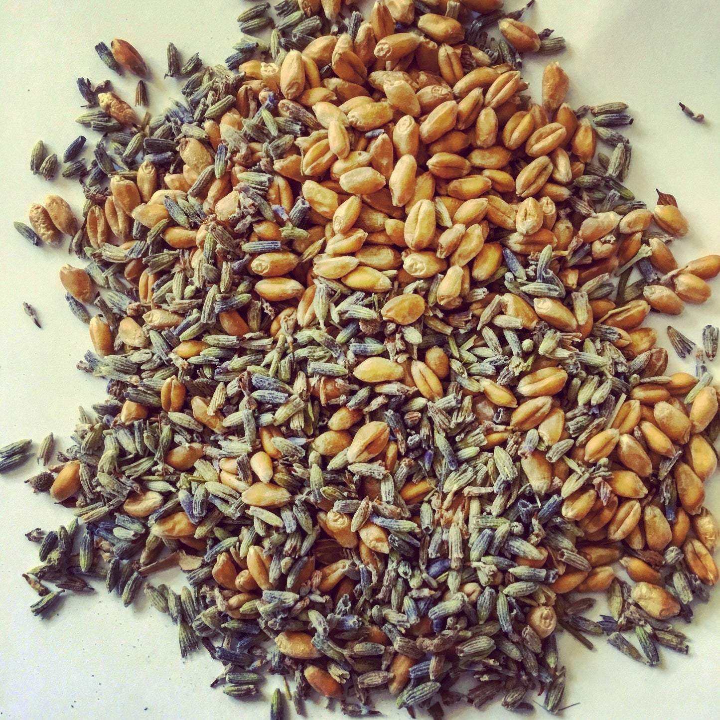 Ingredients for lavender wheat bags and eye pillows